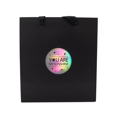 Custom Logo Printing Exquisite Luxury Fashion Gift Paper Bag with Embossed Silver Holographic Logo